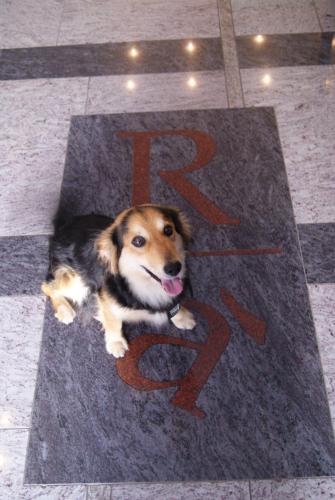 Residence Aprilia - image 4