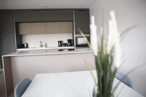 Beautiful Stylish 2BR Apartment in Kirchberg