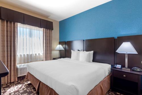 Best Western Plus Arlington North - image 10