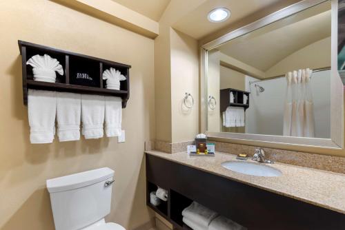 Best Western Plus Arlington North - image 7