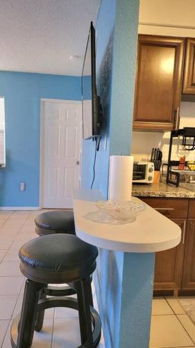 Entire Home by Siesta Key/closed to downtown detail