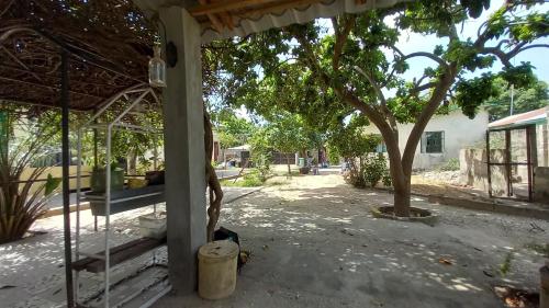 Garden, Logement De Strandjutter in Tanji Gambia in Tanji