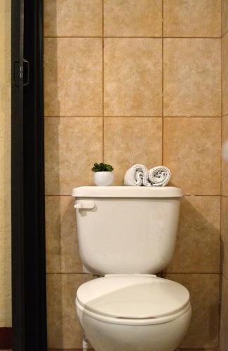 Twin Room image 6