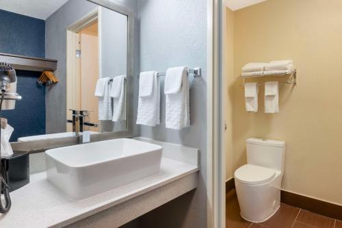 Quality Inn & Suites - image 2