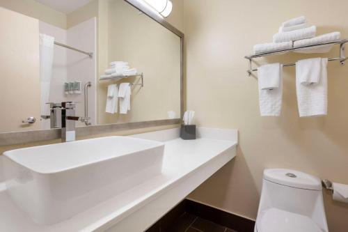 Quality Inn & Suites - image 12