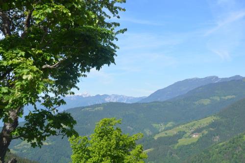 Farmstay&Glamping Visočnik