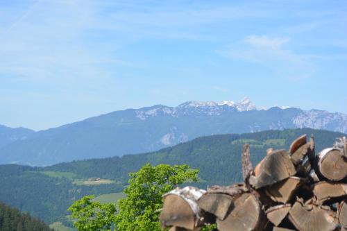 Farmstay&Glamping Visočnik