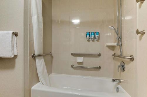 504552117 Drury Plaza Hotel Orlando - Disney Springs Area