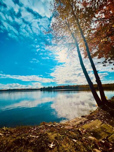 Lakefront Cabin! Relax w/ family and friends! in New Auburn, Vereinigte Staaten von Amerika