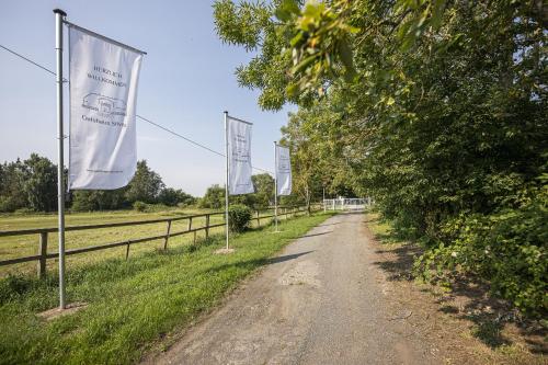 Ruhig und idyllische Lage, strandnah, gratis Nutzung vom AHOI Erlebnisbad und Sauna in Sellin - Gutshaus Silvitz FeWo 01