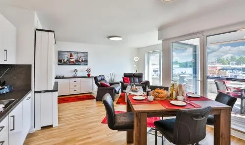 Lachmöwe - C1 in Kappeln, Deutschland