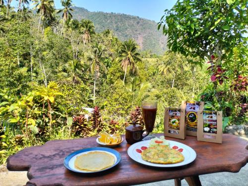 Toit ja joogid, Ananda Homestay in Singaraja