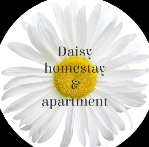 B&B Hải Phòng - Daisy homestay & apartment - Bed and Breakfast Hải Phòng