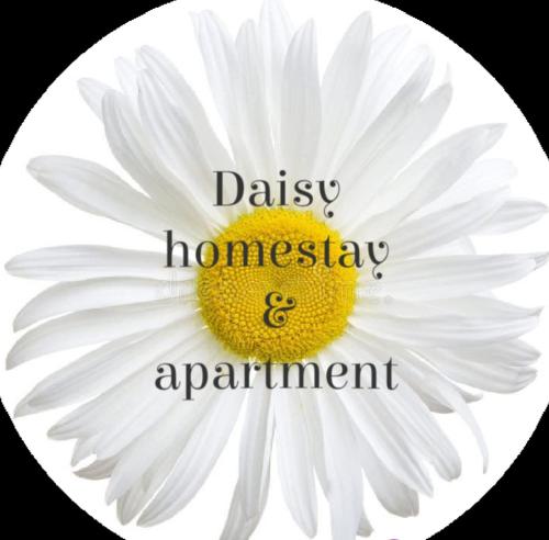 Daisy homestay & apartment in Riverside - Cam River / Old Harbour