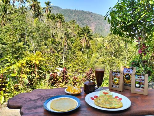 Toit ja joogid, Ananda Homestay in Singaraja