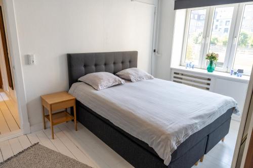 Stefania, Aalborg (fotografie 5)