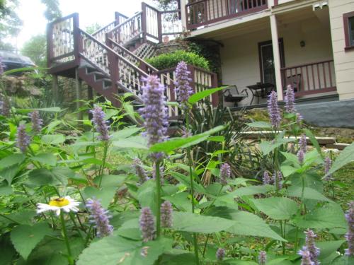 5 Ojo Inn Bed and Breakfast 5 Ojo Inn Bed and Breakfast