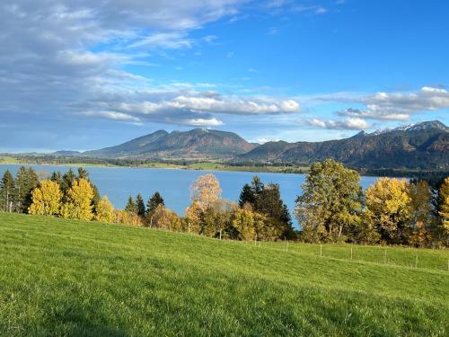 บริการและสิ่งอำนวยความสะดวก, Haus Deutsch in รอสส์เฮาพ์เทิน