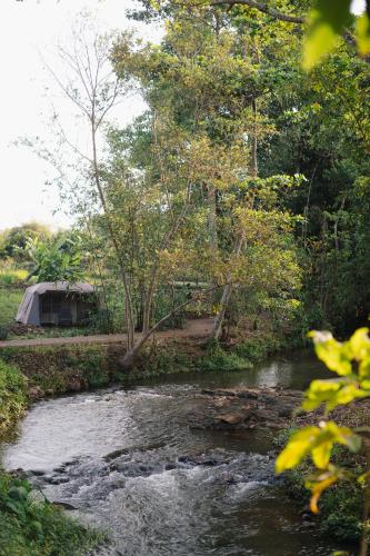 Suối Camp