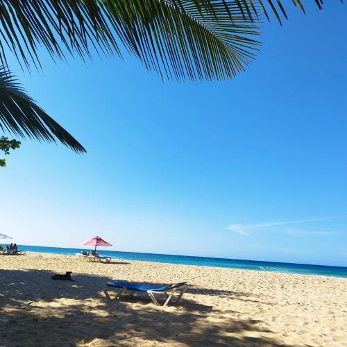 شاطئ, Caleton Group in Rio San Juan