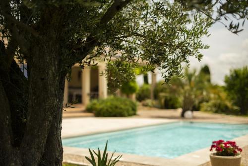 La Cavayere, piscine privee