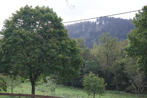 Pension & Ferienhaus Latröpchen - image 6