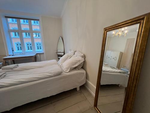 Historical appartment, Copenhague (photo 2)