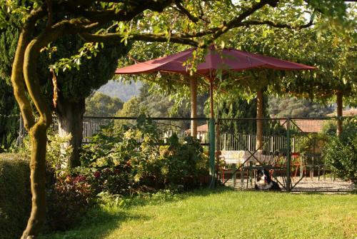 Agriturismo Il Belvedere - image 5
