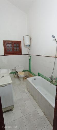 . سما العريش