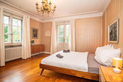 Beautiful Villa in the Heart of Basel, Bâle (photo 10)