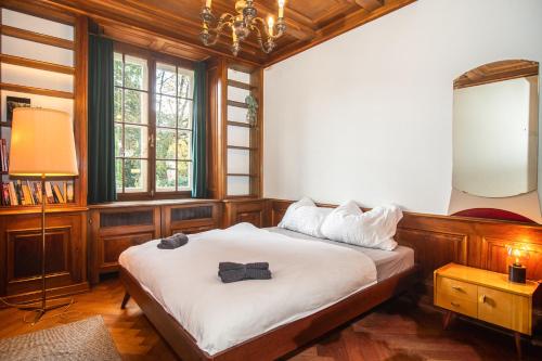 Beautiful Villa in the Heart of Basel, Bâle (photo 8)