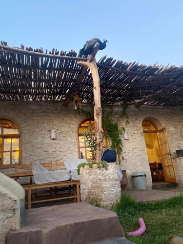 Farm Villa with pets photo 1
