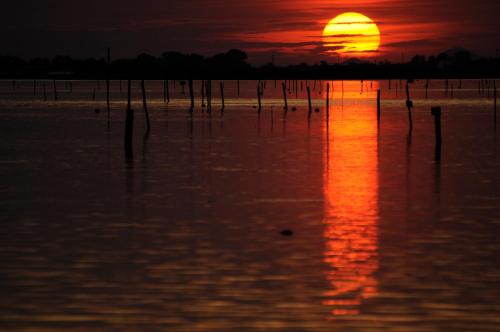 Albarella Golf Hotel - image 14