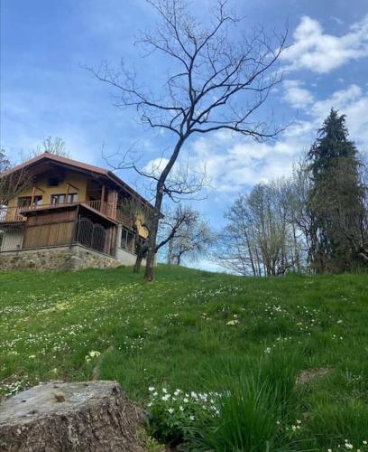 Il nocciòlo di Daisy - Chalet - Graglia