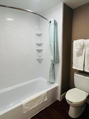Perfect Place Suite Apt 2 Queen Beds FREE Parking in Orlando, USA