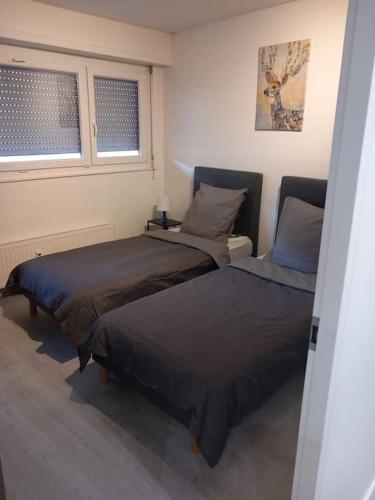 Super Appart Strasbourg 6 pers centre-ville idéal, Strasbourg (photo 7)