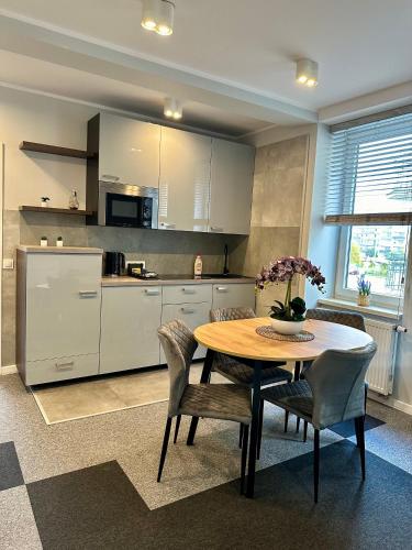 廚房, Apartamenty 1 maja 94 Free Parking, Free WiFi, Self Check-in in 尼基斯佐維科