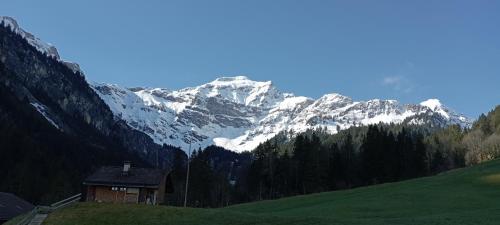 View, DesAlpes in Saxeten