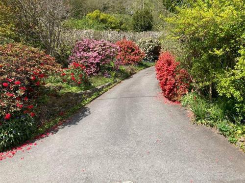 Stunning River Views, Tranquil Split-Level House, Private Garden & Parking Stunning River Views, Tranquil Split-Level House, Private Garden & Parking