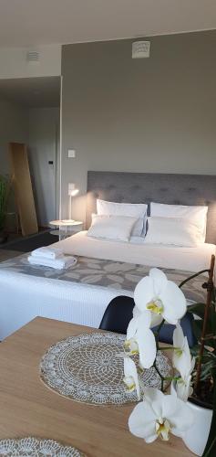 Studio 12 floor, Puijo landscape, Free parking, Kuopio (photo 10)
