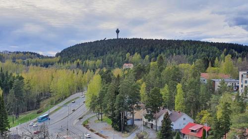 Studio 12 floor, Puijo landscape, Free parking, Kuopio (photo 3)