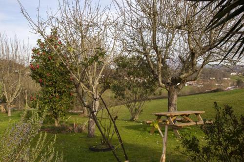 Joanesenea Joanesenea