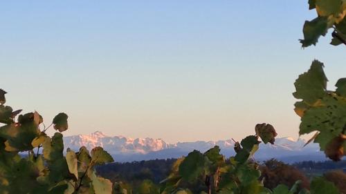 View, Ferienwohnung Frostenegg in Oberstammheim