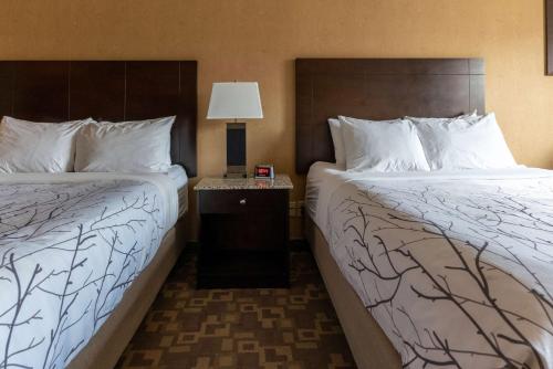 Queen Room with Two Queen Beds - Non-Smoking image 3