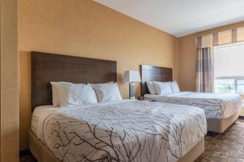 Family Queen Suite with Two Queen Beds - Sofabed/Non-Smoking image 8
