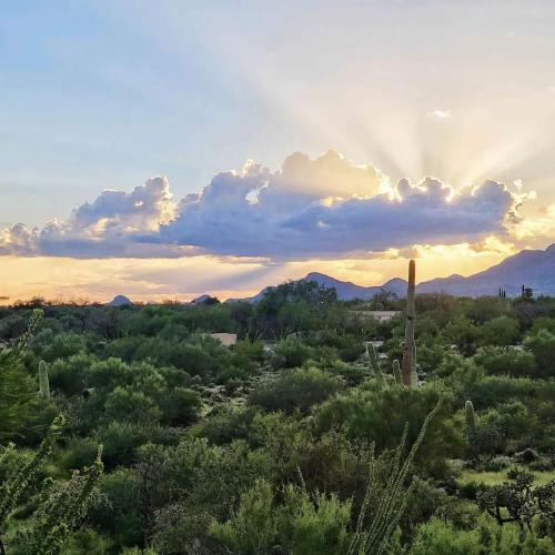 Luxury 3BD/2BA Home Near Tucson w/ Desert Views