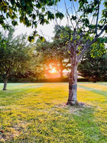 A környék, The annex on our farm in Colwyn Bay
