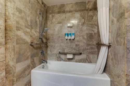 Drury Plaza Hotel New Orleans - image 11