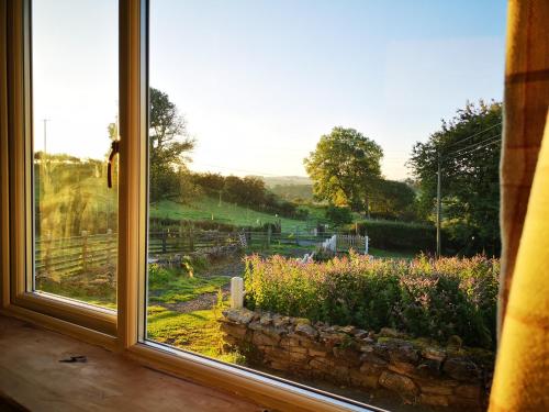 Unique Stay on an Alpaca Therapy Farm with Miniature Donkeys North Wales