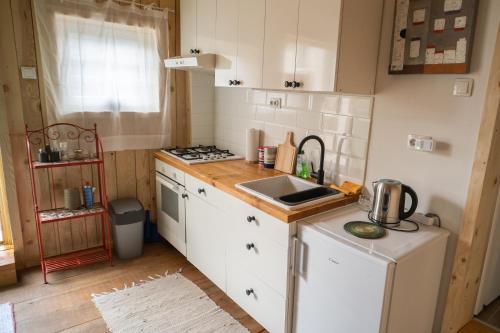 مطبخ, Apartments with parking space Plaski, Velebit - 21935 in Plaski